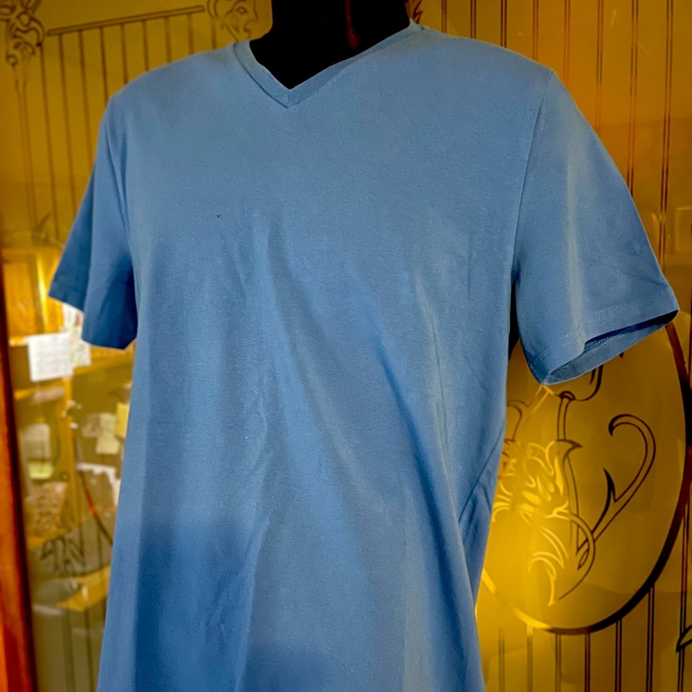 Express French Blue V-Neck T-Shirt Size L